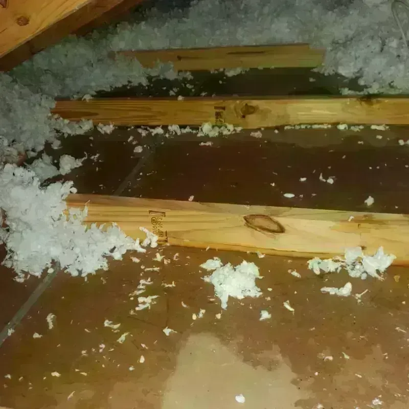 Attic Water Damage in Hays, NC