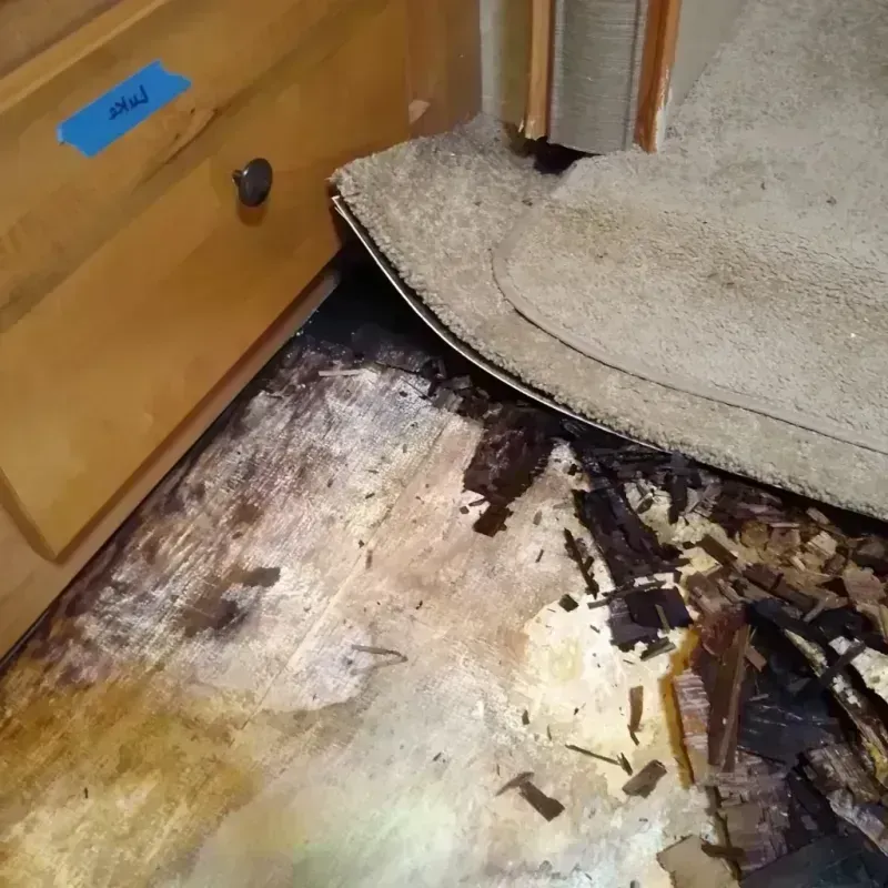 Wood Floor Water Damage in Hays, NC